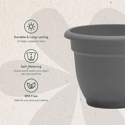 Bloem Ariana 10" Charcoal Round Self-Watering Resin Planter Pot - Rolled Rim Indoor and Outdoor Gardening Planter