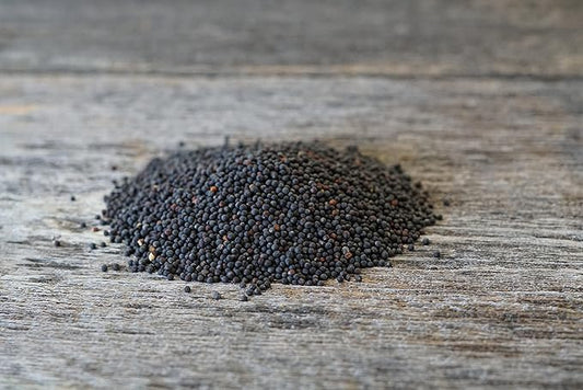 Hale Habitat & Seed Rapeseed Food Plot Seed, 5 lbs