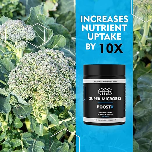 BoostX – Organic Plant Fertilizer | Premium NPK Nutrients for Stronger Plants & Better Flowering | Mycorrhizae & Trichoderma for Improved Growth