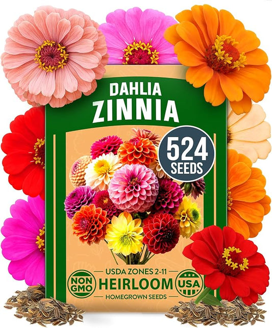 HOME GROWN Zinnia Dahlia Seeds Pack for 2026 Non GMO 524 Flower Seeds | Vibrant Zinnia Elegans for Pollinator Gardens, Borders & Containers | Easy-to-Grow Outdoor Blooms