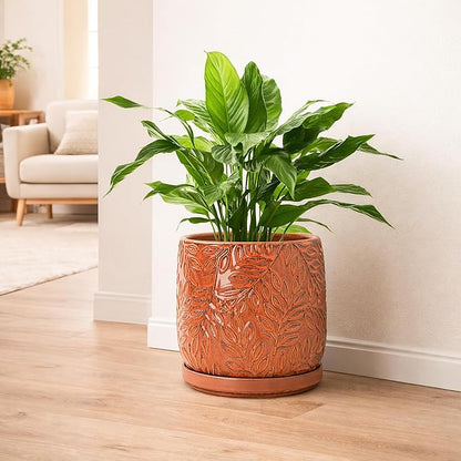 D'vine Dev 8 Inch Embossed Leaves Stoneware Planter Pot with Drainage Hole and Saucer, Pumpkin, 27-A-Q-J