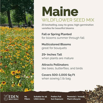 Eden Brothers Maine Wildflower Mixed Seeds for Planting, 1 lb, 480,000+ Seeds with Lupine, Cornflower | Attracts Pollinators, Plant in Spring or Fall, Zones