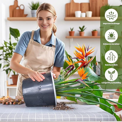 Organic Bird of Paradise Potting Soil Mix 2qt, Ideal for Indoor/Outdoor Potted Plants, Promotes Optimal Growth for Bird of Paradise