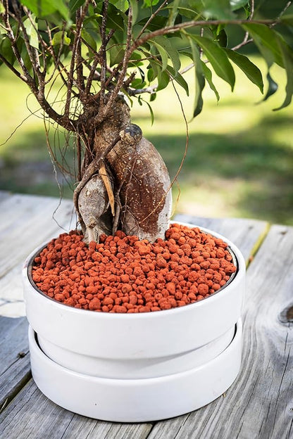 Nature, Leca Clay Pebbles for Plants - Sustainable Expanded Clay Balls for Healthy Roots, Handmade in Colombia, Ideal for Hydroponics, Indoor Gardens, and Moisture Retention, 32 Oz (Orange)
