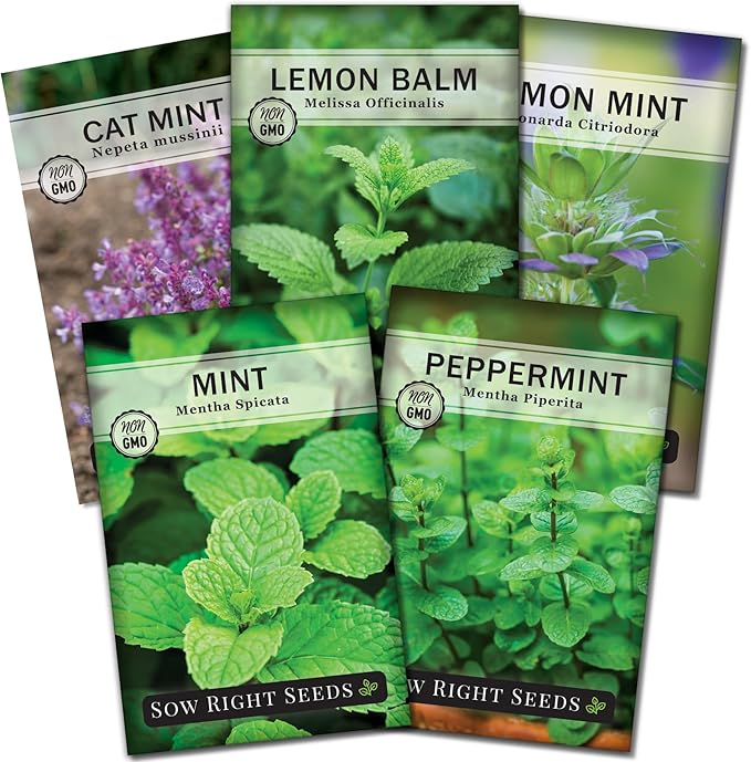 Sow Right Seeds - Mint Garden Seed Collection - Includes Common Mint, Catmint, Peppermint & More - Popular Non-GMO Heirloom Varieties for Planting Indoors or Outdoors - Herbal Teas, Drinks & Desserts