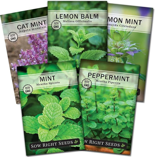 Sow Right Seeds - Mint Garden Seed Collection - Includes Common Mint, Catmint, Peppermint & More - Popular Non-GMO Heirloom Varieties for Planting Indoors or Outdoors - Herbal Teas, Drinks & Desserts