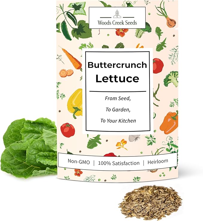 Buttercrunch Lettuce Seeds for Planting – Heirloom Non-GMO Butterhead Lettuce for Home Gardens | Woods Creek Seeds
