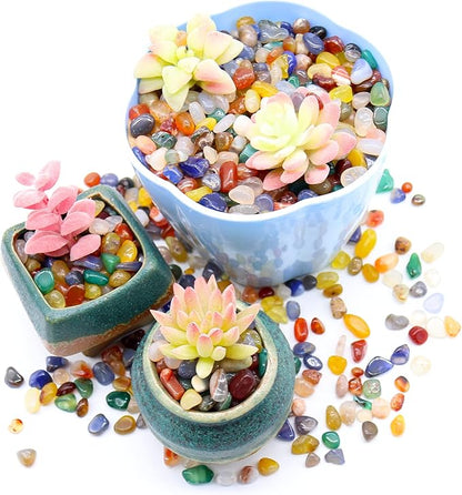 Agate Stone. Polished Natural Agate Pebbles. 3/8 Inch - 2 lbs. Mixed Color. for Succulents, Pots, Plants, Crafting, Vase Fillers (XSM (0.375 Inch), Agate - Mixed Color Polished, 2)