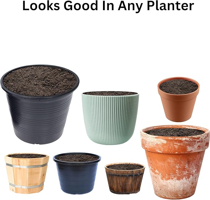Premium Manure: Ideal Manure Starter and Vegetable Fertilizer for a Thriving Outdoor Vegetable Garden - Boosts Soil Quality! Hand Packed in The USA. 2 Quarts