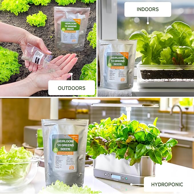 14 Varieties Heirloom Non-GMO Lettuce and Greens Seeds Pack for Outdoor and Indoor Gardening & Hydroponics, 6380 Seeds - Spinach, Bibb, Iceberg, Butter, Oakleaf, Black Seeded Simpson, Romaine & More