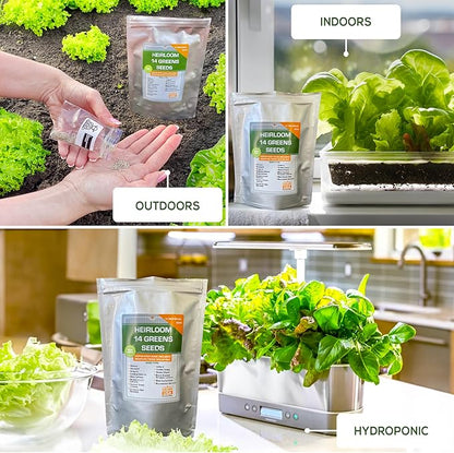14 Varieties Heirloom Non-GMO Lettuce and Greens Seeds Pack for Outdoor and Indoor Gardening & Hydroponics, 6380 Seeds - Spinach, Bibb, Iceberg, Butter, Oakleaf, Black Seeded Simpson, Romaine & More
