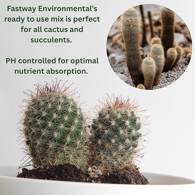 Cactus & Succulent Potting Soil Mix - Made with Perlite and Vermiculite - pH-Controlled for Indoor and Outdoor Plants - Made in USA - (8 Quarts)