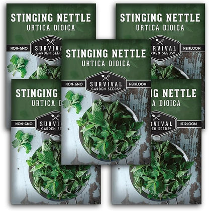 Stinging Nettle Seeds for Planting - Urtica Dioica Medicinal Herb & Edible Perennial - Common Nettle for Tea, Cooking & Wellness - Heirloom Non-GMO - Survival Garden Seeds (5 Packs)