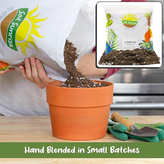 Soil Sunrise Elephant Ear Potting Soil Mix (8 Quarts) Colocasia and Alocasia Potted Plant Blend