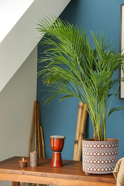 D'vine Dev 8 Inch Terracotta Planter Pot, Modern Design Ceramic Plants Pot with Drainage Hole, Desert Mirage, 33-953-B-1