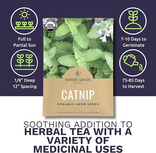 Catnip Seeds – Two Seed Packets! – Over 880 Open Pollinated Non-GMO Seeds – Sweet Yards Seed Co.