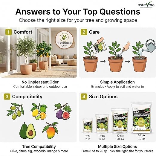 Olive Tree Fertilizer – Fruit Tree Fertilizer for Olive Tree, Citrus, Lemon, Lime, Fig, Avocado, Mango, Apple & Pomegranate – for Potted & Outdoor Trees (5 quarts - 10 lbs.)