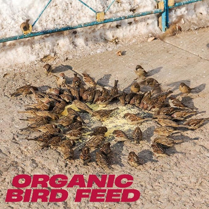 BROWNIE Brand White Proso Millet Bird Feed for Bird Feeder | Premium Wild Bird Food for Sparrows, Finches, and Doves | High-Energy, Non-GMO, All-Season Feed for Feeders (5 Pound)