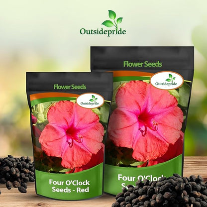 Outsidepride Red Four O'clock Flower Seeds - 1/4 lb Perennial Fragrant, Trumpet-Shaped Blooms, Deer-Proof & Easy to Grow, for Pollinator & Evening Gardens, Containers, Hedges, or Borders