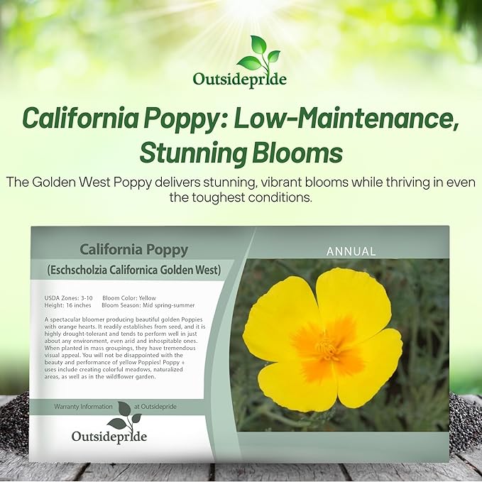 Outsidepride Golden West California Poppy Seeds - 10000 Pieces Annual, Drought Tolerant Eschscholzia Wildflower Seed w/Vibrant Yellow Blooms for Pollinator-Friendly Garden & Outdoor Landscapes