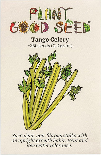 Plant Good Seed Tango Celery Seeds for Planting: Heirloom Vegetable, Tender Green Stalks - 250 Seed Packet