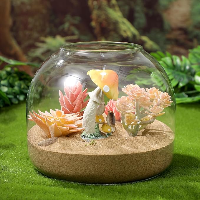 Glass Terrarium Jar with Airtight Wood Stopper for Hydroponic Plants Succulent Planter Moss and Micro Landscape Container 5.90 Inch Clear Glass Vase