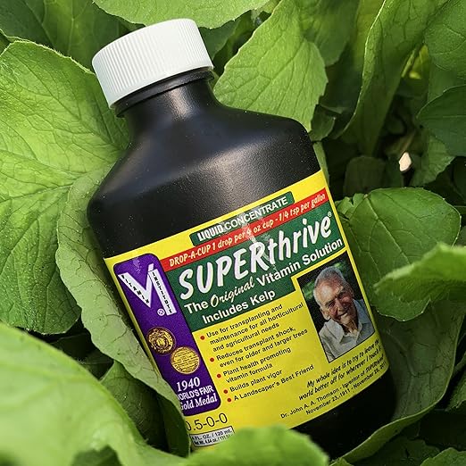 SUPERthrive Original Plant Vitamin Solution with Kelp for All Plants, 4 oz. Plus Perennials to Plant in Fall Seeds