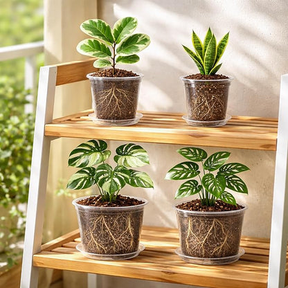 12 Pack 10/8/6/5 Inch Reinforced Large Clear Nursery Pots with Sacuers, Transparent Variety Pack Plastic Plant Pot with Drainage Holes for Vegetable Propagation, Root Cutting, Seed Starting