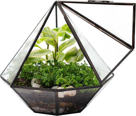KraftStories Clear Glass Terrarium with Door | Diamond Design Container | Ideal Planter for Moss and Indoor Plants | Maintains Humidity | Self-Sustaining Indoor Garden Ecosystem (Terrarium Only)