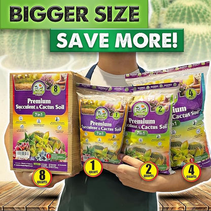 DUSPRO Succulents Soil Potting Mix – 7 in 1 Ingredients Well-Draining, Nutrient-Rich Cactus Potting Soil for Succulents and Cacti, Indoor & Outdoor Use, Ready to Use, Supports Healthy Root Growth, 8QT