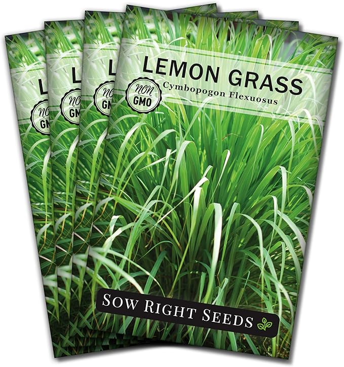 Sow Right Seeds - Lemon Grass Seed for Planting - Non-GMO Heirloom Packet with Instructions for Easy Planting and Growing an Herb Garden - Indoor or Outdoors - Delicious Culinary Herb (4)