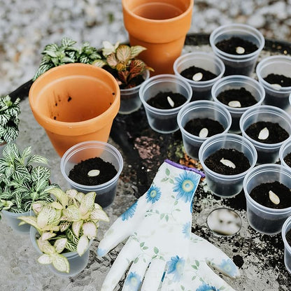 TINSKY 200 Pcs 2 Inch Clear Nursery Pots with Drainage Holes Mini Plastic Plant Pots for Seedling Seeds Germination Transplanting Seeds Starter Planting Indoor Outdoor Succulent