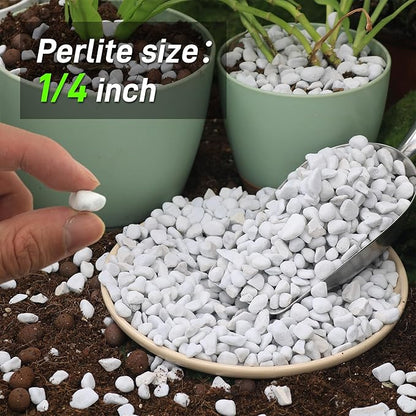 9 Quarts Chunky Perlite for Plant Soil Amendment for Potting Soil, Improves Drainage and Aeration for Soil, Ideal for Succulents, Orchid, Flower Plants (1/4 inch)