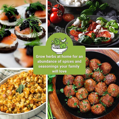 Sow Right Seeds - 15 Herb Garden Seed Collection for Planting - Essential Herbs for Cooking - Non-GMO Heirloom Packet Instructions to Grow Kitchen Garden Indoors or Outdoors - Great for Hydroponics