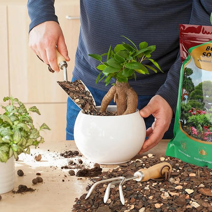 Bonsai Soil Mix 2qt, Potting Soil Mix Ready to Use for Bonsai Tree and Indoor Plants, Composed of Akadama, Lava Rock, Prumice, Bark