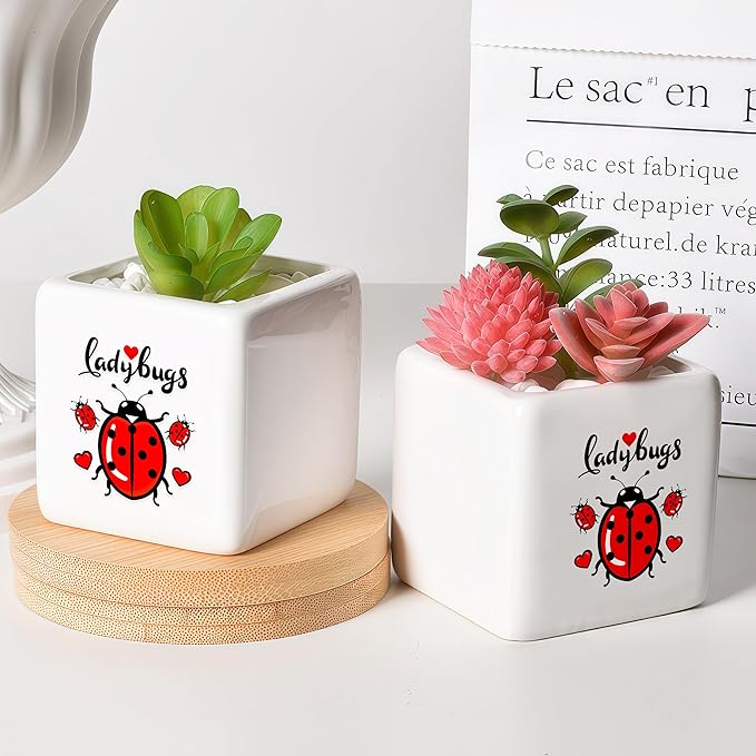 Ladybugs Succulent Planter Flower Plant Pot Small, Gifts for Women Teens Girls Kids, Ladybugs Lovers Themed Stuff Accessories Things Decor Merch, Home Office Table Desk Decoration!