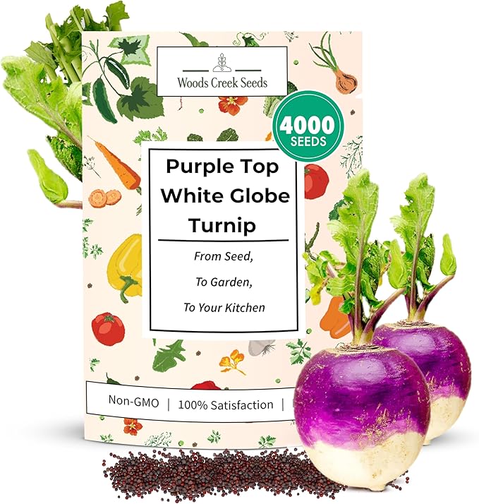 Purple Top White Globe Turnip Seeds for Planting – Heirloom, Non-GMO Turnip Seeds for Fall & Spring Gardens, Classic Mild Turnips with Edible Greens | Woods Creek Seeds