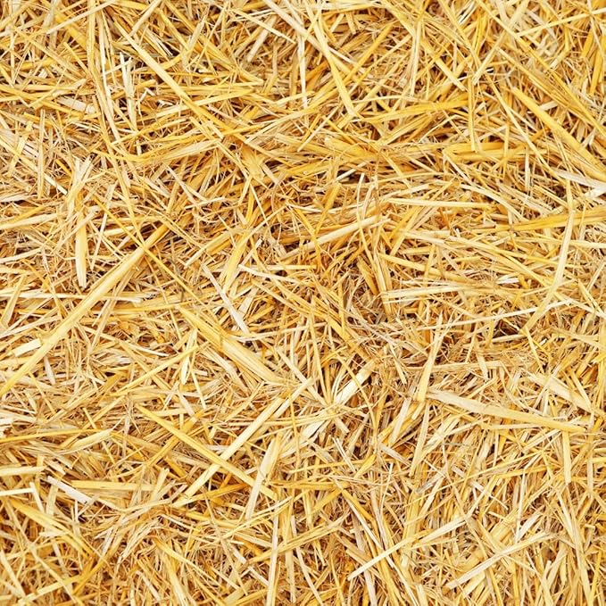100% Natural Wheat Straw for Animal Bedding, Garden Mulch, Compost & Fertilizer, and Grass Cover (2 Pounds)