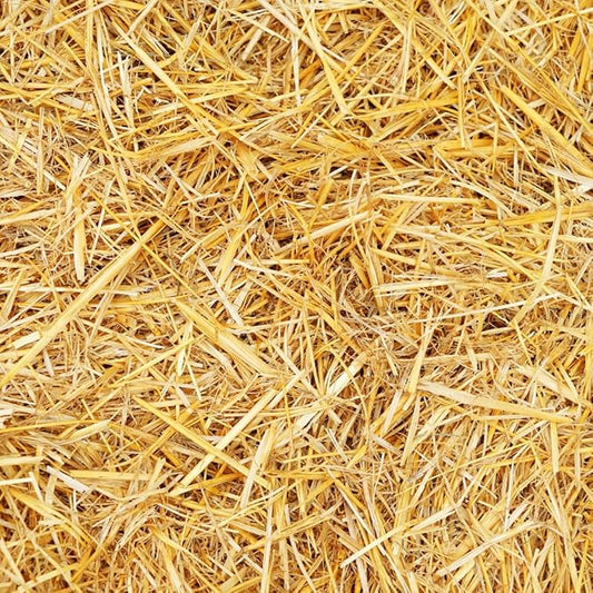 100% Natural Wheat Straw for Animal Bedding, Garden Mulch, Compost & Fertilizer, and Grass Cover (2 Pounds)