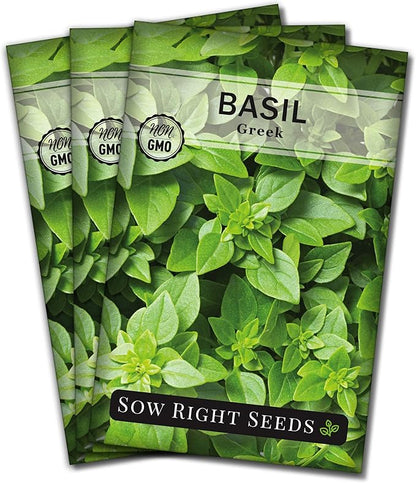 Sow Right Seeds - Greek Basil Seed for Planting - Non-GMO Heirloom Packet with Instructions for Easy Planting and Growing a Kitchen Herb Garden - Indoors & Outdoor - Small Leaved Dwarf Sweet Basil (3)