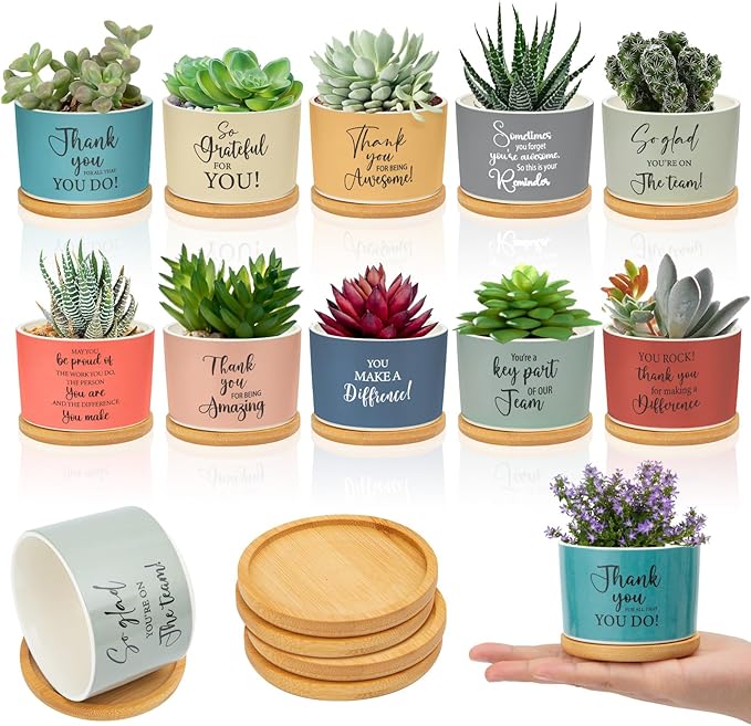 10 Pcs Thank You Gift Employee Appreciation Gift Succulent Pots Mini Ceramic Plant Pot with Bamboo Tray Succulent Planter for Coworker Employee Vet Tech Medical Assistant, Plant Excluded