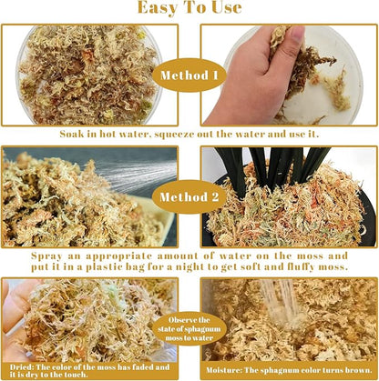 Legigo 2.2LBS Premium Sphagnum Moss for Plants- 40QT Natural Succulent Carnivorous Plant Moss Dried, Long Fiber Orchid Moss for Orchid Repotting Succulent Sarracenia Potted Plants Gardening & Reptiles