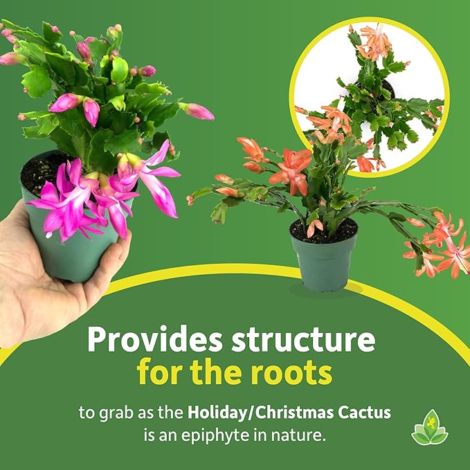 Josh's Frogs Holiday/Christmas Cactus Soil (1 Quart)