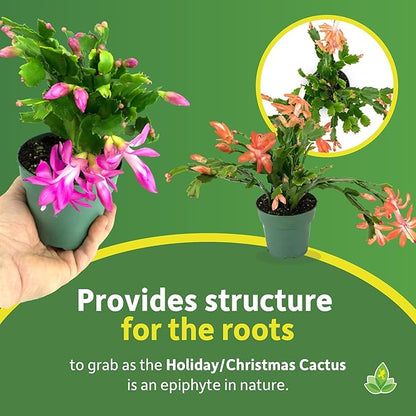 Josh's Frogs Holiday/Christmas Cactus Soil (1 Quart)