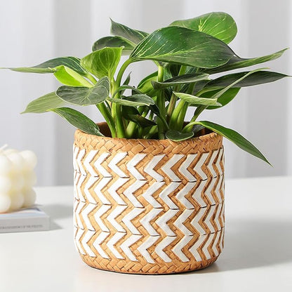 Concrete Rattan-Style Plant Basket Planter, 5" Outdoor Indoor Plant Pots with Drainage Hole, Boho Flower Pot for Succulents, Herbs, Modern Farmhouse Decor, Ideal Gift for Plant Lovers