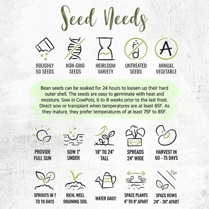 Seed Needs Lima Bean Seeds for Planting Henderson Lima Beans - Non-GMO Heirloom & Untreated Vegetable Seed to Plant a Homesteader Outdoor Veggie Garden