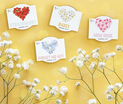BUZZY Seeds Terracotta Mini Grow Pots Flower Plant Starter Kit – Love Collection Assorted 12-Pack – Indoor DIY Garden Kit – Perfect Wedding Favors, Bridal Shower Gardening Gifts, Valentines