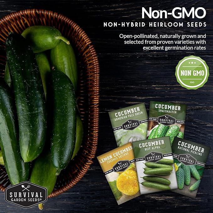 Survival Garden Seeds Cucumber Collection - Mix of Armenian, Beit Alpha, Lemon, National Pickling, & Spacemaster Seed Packets to Grow Vining Vegetables on The Homestead - Non GMO Heirloom Seed Vault