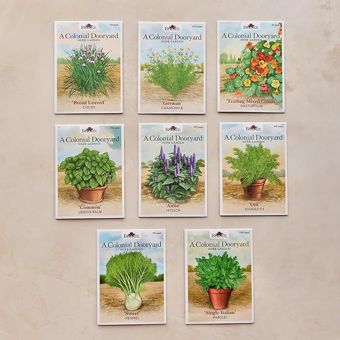 Burpee 'A Colonial Dooryard Herb Garden' – Heritage Kitchen Herb Starter Kit with 8 Non-GMO Seeds, Plant Labels & Dooryard Garden Design Card