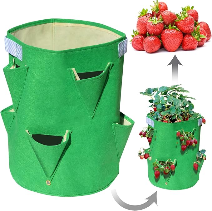 BenefitUSA Garden Planting Bag Grow Felt Fabric Planter Bag Strawberry and Herb Plant Tub 1/2/3/5 Pack (2)